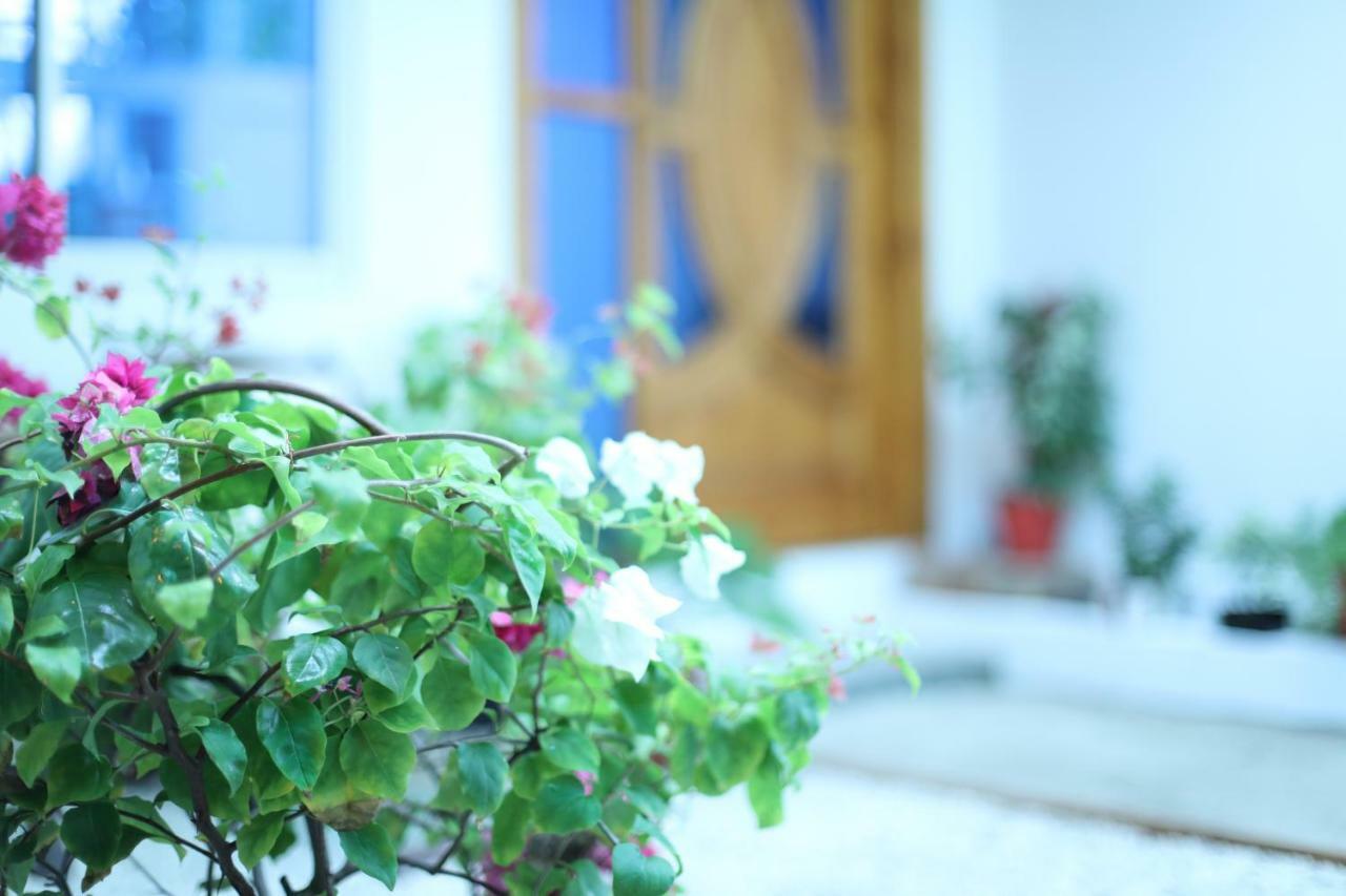 Moodhu Surf House Hotel Himmafushi Buitenkant foto